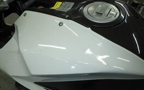 BMW HP2 SPORT 2009