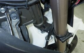 KAWASAKI KSR110 2021