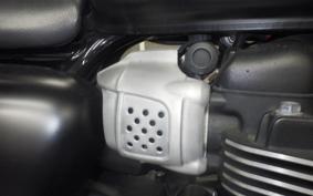 TRIUMPH BONNEVILLE T100 2016