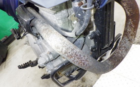 HONDA XL DEGREE MD26