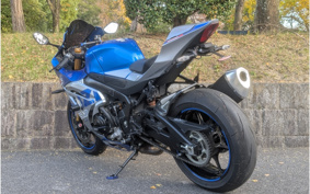 SUZUKI GSX-R1000R ABS 2019 DM11G