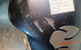 SUZUKI BANDIT 1250 S ABS 2007 GW72A