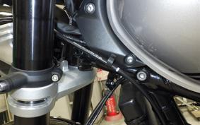 TRIUMPH SPEED TWIN 2026