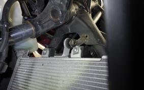 KAWASAKI NINJA 250 2015 EX250P