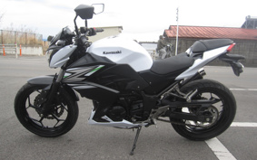 KAWASAKI Z250 ER250C