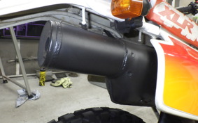 HONDA XLR250 BAJA 2007 MD22