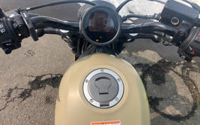HONDA  REBEL 250 ABS MC49
