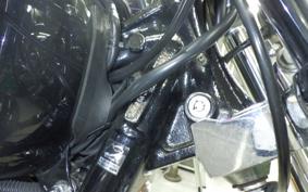 HARLEY FXSTC 1580 2010