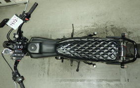 YAMAHA TW225 DG09J