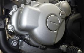 YAMAHA WR250X DG15J