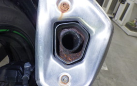 KAWASAKI NINJA 250 ABS EX250L