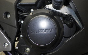 SUZUKI GSX250 R 2010