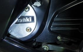 KAWASAKI Ninja 150RR