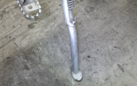 KAWASAKI SUPER SHERPA 2019 KL250G