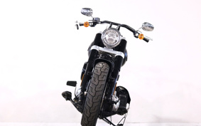 HARLEY FLSL 2020 YDJ