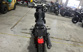 HARLEY FXLRS 2021 YWK