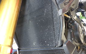APRILIA CAPONORD 1200 2015