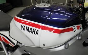 YAMAHA XSR900 GP 2025 RN96J
