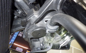 KAWASAKI Z900RS CAFE 2023 ZR900K