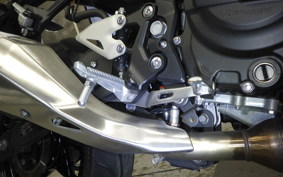 KAWASAKI Z250 EX250Y