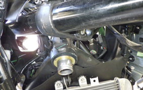 KAWASAKI ZX-4RR 2025 ZX400P