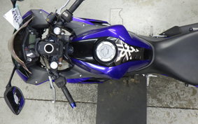 YAMAHA YZF-R25 2026 RG43J