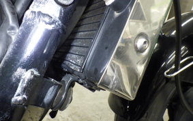 KAWASAKI ELIMINATOR 250 V 2025 VN250A
