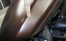 HARLEY FXDRS1870 2020