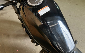 HONDA  REBEL 250 ABS MC49