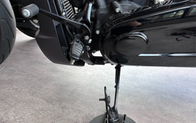 HARLEY FXDR114 2019 YVK