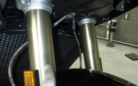 BMW S1000XR 2023