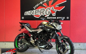 YAMAHA MT-25 2017 RG10J