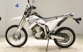 YAMAHA WR250R 2020 DG15J