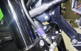 KAWASAKI ZRX1200 D 2012 ZRT20D