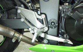 KAWASAKI NINJA 250 2015 EX250L