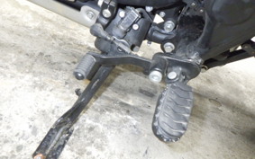 OTHER +ENFIELD ﾋﾏﾗﾔﾝ 2022