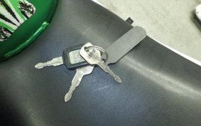 KAWASAKI ZXR250 Gen.2 2019 ZX250C