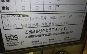 TRIUMPH TIGER 900 RALLY PRO 2022