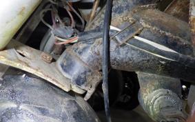 HONDA MONKEY Z50J