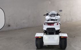 OTHER  TRIKE 170CC ..