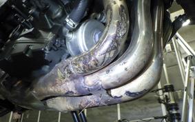 YAMAHA FZ1 FAZER 2013 RN21J