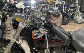 HARLEY FXDLI 2015 GN4