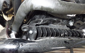 HARLEY FLTRXSE1980 2024