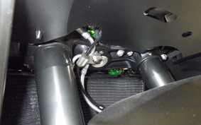 KAWASAKI NINJA H2 CARBON 2021 ZXT02J