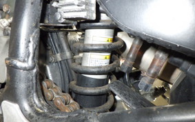 KAWASAKI SUPER SHERPA KL250G