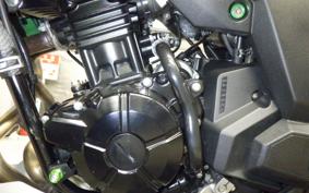 KAWASAKI VERSYS 250 A LE250D