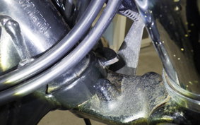 KAWASAKI ESTRELLA RS 2023 BJ250A