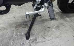TRIUMPH SPEED400 2024