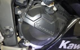 KAWASAKI NINJA 250 EX250L