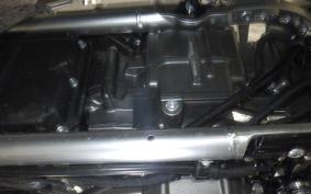 HARLEY FLSTFI1920 2025